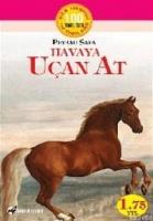 Havaya Uçan At  Frontansicht 1