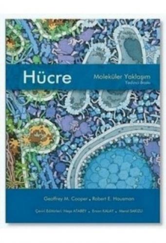 Hücre Moleküler Yaklaşım  Frontansicht 1