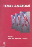 Temel Anatomi  Frontansicht 1