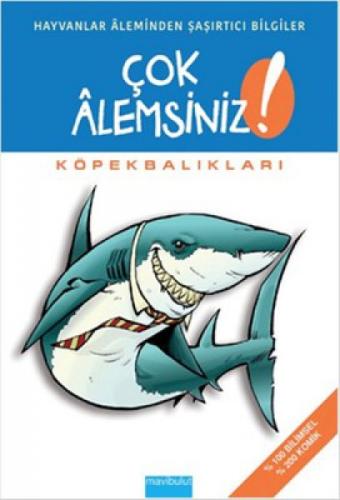 Çok Alemsiniz Köpekbalıkları  Frontansicht 1