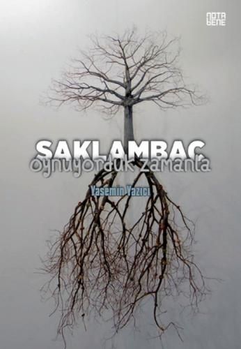 Saklambaç Oynuyorduk  Frontansicht 1