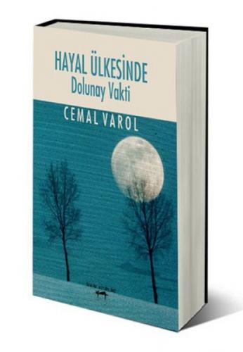 Hayal Ülkesinde Dolunay Vakti  Frontansicht 1