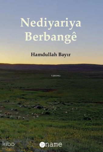 Nediyariya Berbangê  Frontansicht 1