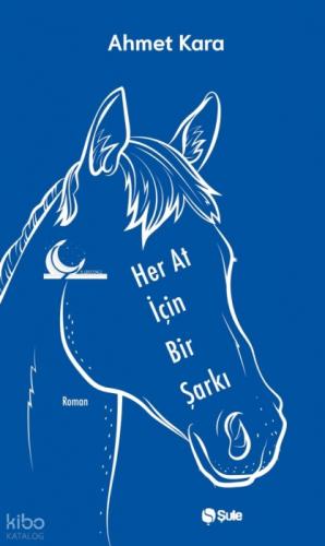 Her At için Bir Þarkı  Frontansicht 1