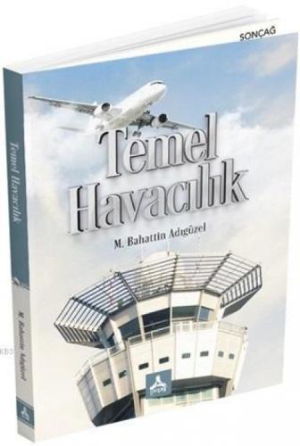 Temel Havacılık  Frontansicht 1
