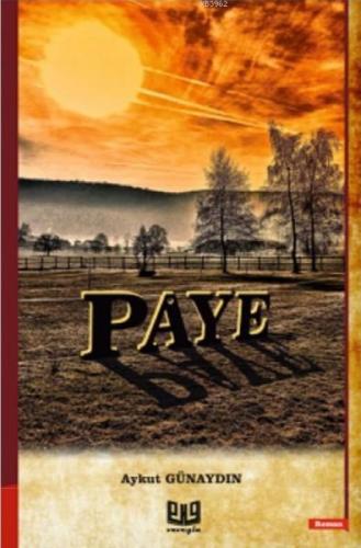 Paye  Frontansicht 1