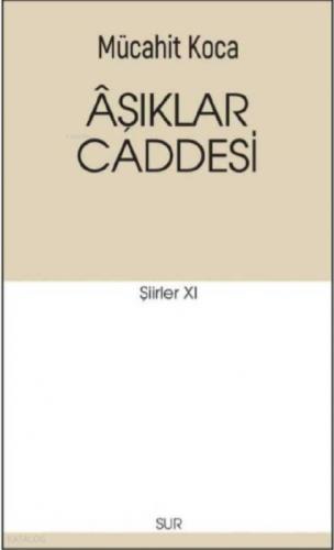 Aşıklar Caddesi  Frontansicht 1