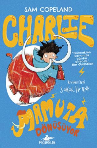 Charlie Mamuta Dönüþüyor - Charlie Serisi 3  Frontansicht 1