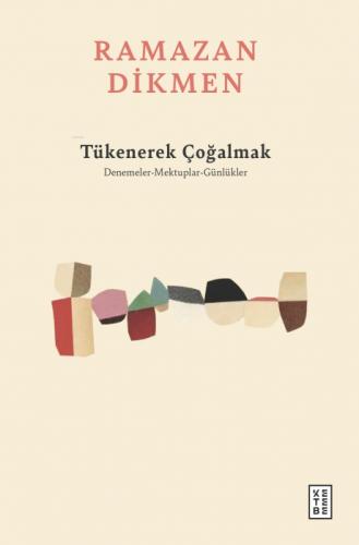 Tükenerek Çoğalmak  Frontansicht 1