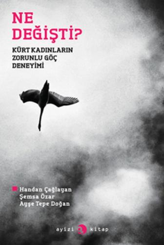 Ne Değişti?  Frontansicht 1