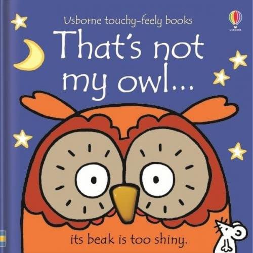 That'S Not My Owl  Frontansicht 1