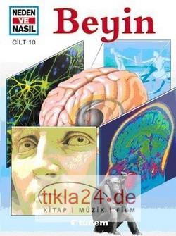 Beyin  Frontansicht 1