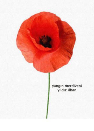 Yangın Merdiveni  Frontansicht 1