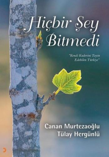 Hiçbir Şey Bitmedi - Kendi Kaderinin Tayin Edebilen Türkiye  Frontansicht 1