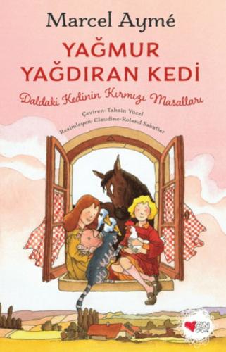 Yağmur Yağdıran Kedi  Frontansicht 1