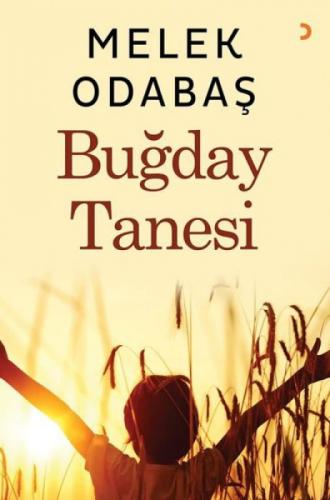 Buğday Tanesi  Frontansicht 1