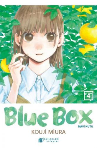 Blue Box Ş Mavi Kutu 4  Frontansicht 1
