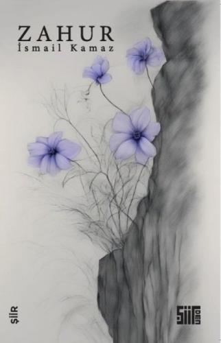 Zahur  Frontansicht 1