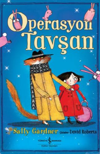 Operasyon Tavşan  Frontansicht 1