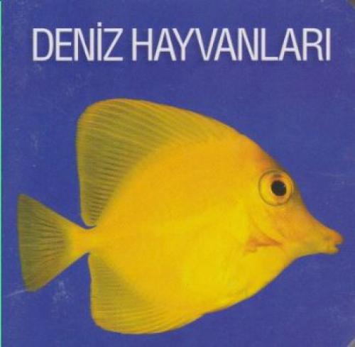 Deniz Hayvanları  Frontansicht 1