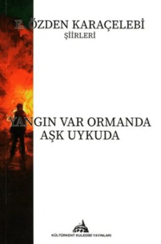 Yangın Var Ormanda Aşk Uykuda  Frontansicht 1