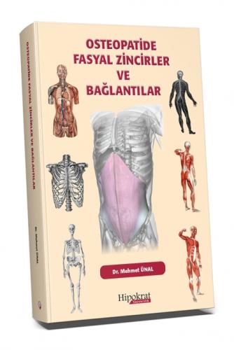 Osteopatide Fasyal Zincirler ve Bağlantılar  Frontansicht 1