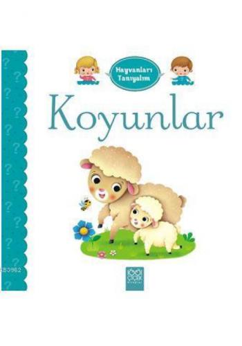 Hayvanları Tanıyalım - Koyunlar  Frontansicht 1