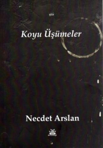 Koyu Üşümeler  Frontansicht 1