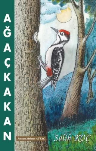 Ağaçkakan  Frontansicht 1