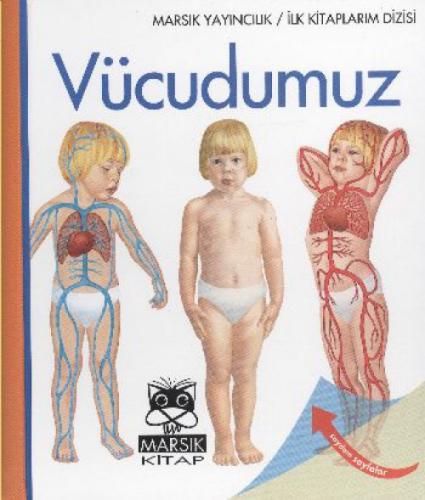 Vücudumuz  Frontansicht 1