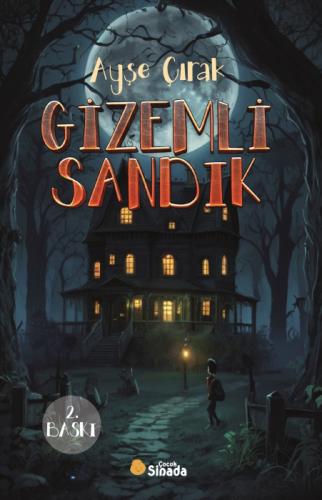 Gizemli Sandık  Frontansicht 1