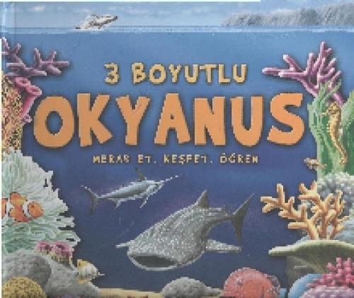 3 Boyutlu Okyanus  Frontansicht 1