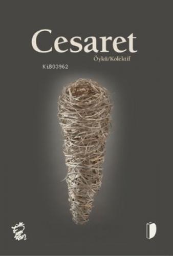 Cesaret  Frontansicht 1