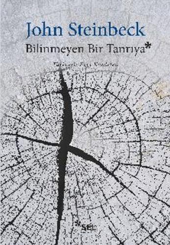 Bilinmeyen Bir Tanrıya  Frontansicht 1