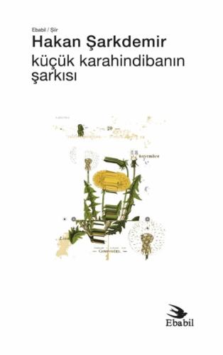 Küçük Karahindibanın Şarkısı  Frontansicht 1