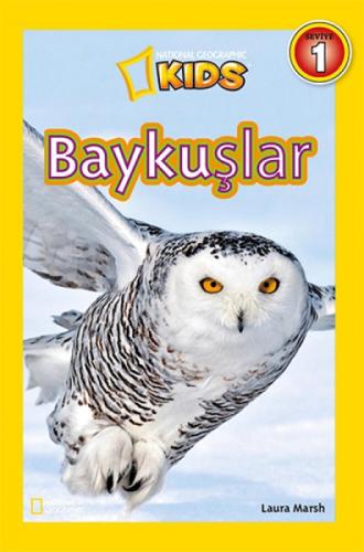 Baykuşlar-Seviye 1  Frontansicht 1