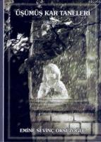 Üşümüş Kar Taneleri  Frontansicht 1