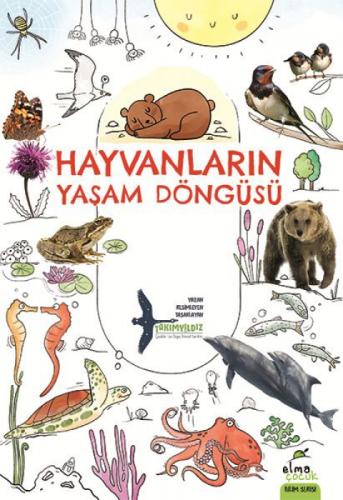 Hayvanların Yaşam Döngüsü  Frontansicht 1
