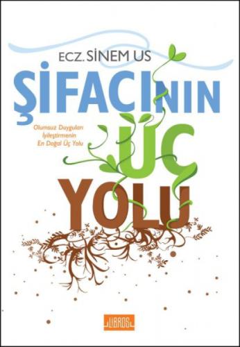 Şifacının Üç Yolu  Frontansicht 1