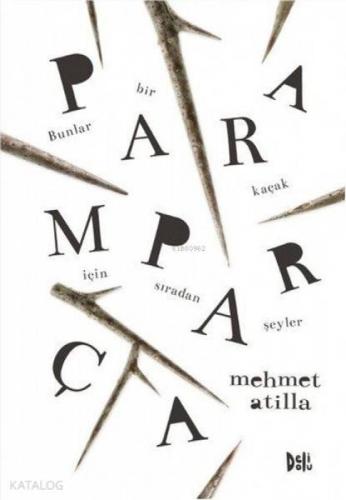 Paramparça  Frontansicht 1