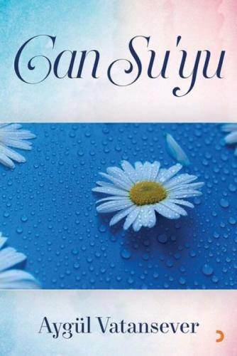 Can Su'yu  Frontansicht 1