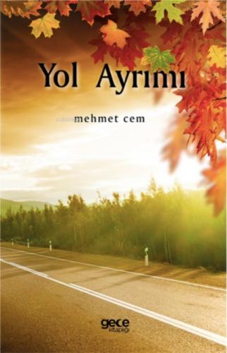 Yol Ayrımı  Frontansicht 1