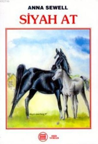 Siyah At  Frontansicht 1