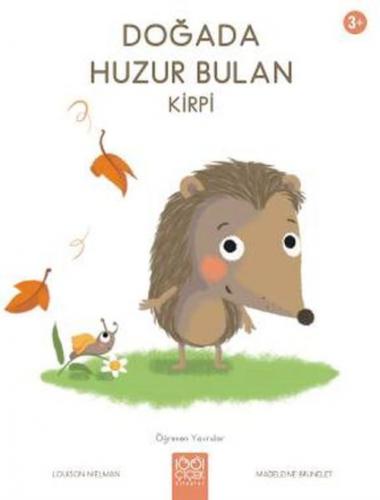 Doğada Huzur Bulan Kirpi  Frontansicht 1