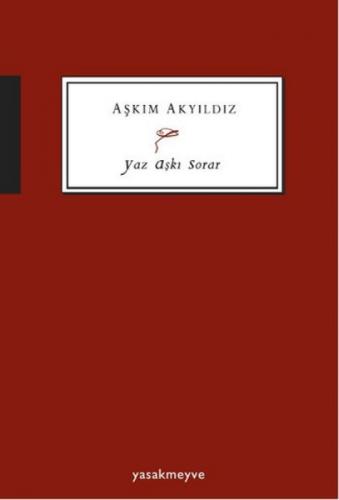 Yaz Aşkı  Frontansicht 1