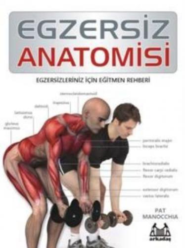 Egzersiz Anatomisi  Frontansicht 1