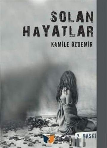 Solan Hayatlar  Frontansicht 1