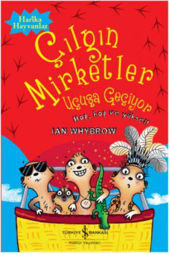 Çılgın Mirketler - Uçuþa Geçiyor  Frontansicht 1