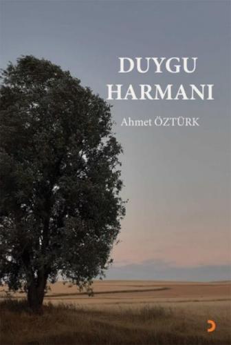 Duygu Harmanı  Frontansicht 1