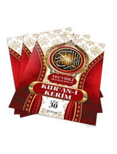 Renklendirilmiş  Frontansicht 1